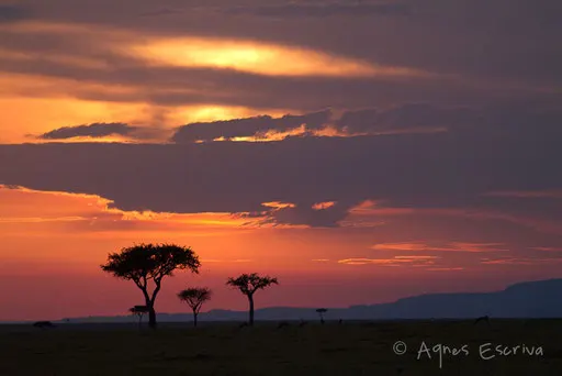 Coucher de soleil sur Topi Plains
