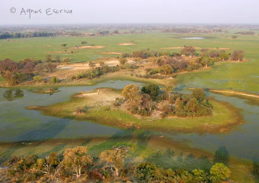Delta de l'Okavango