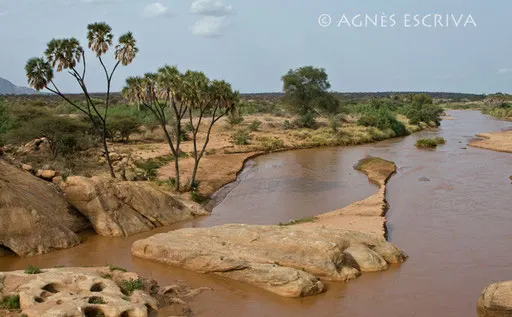 Les gorges de l'Uaso Nyiro