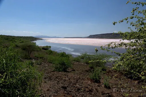 Lac Magadi
