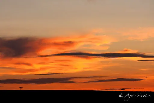 Coucher de soleil