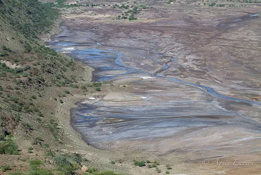 Lac Magadi
