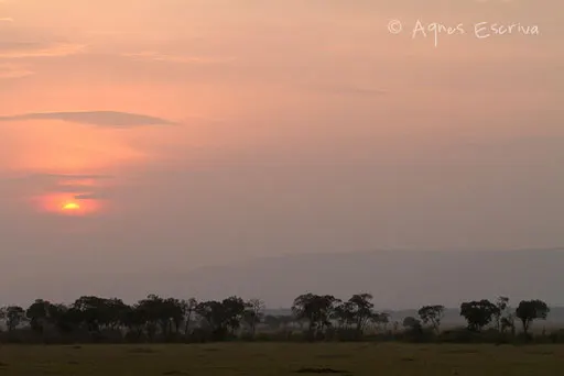 Bilashaka au crépuscule