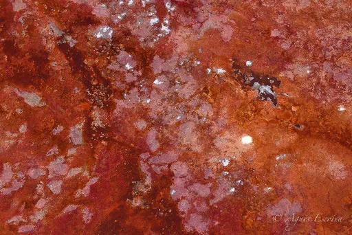 Lac Magadi