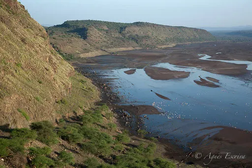 Lac Magadi