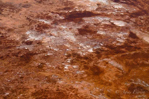Lac Magadi