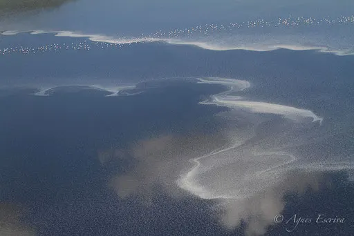 Lac Natron