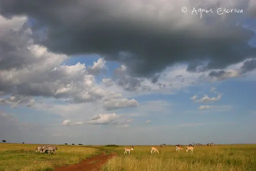 Avant l'orage