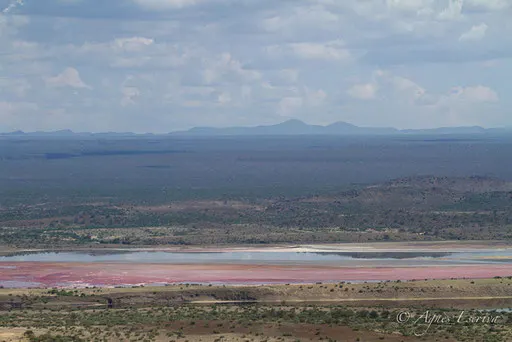 Lac Magadi