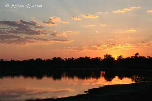 La rivière Luangwa