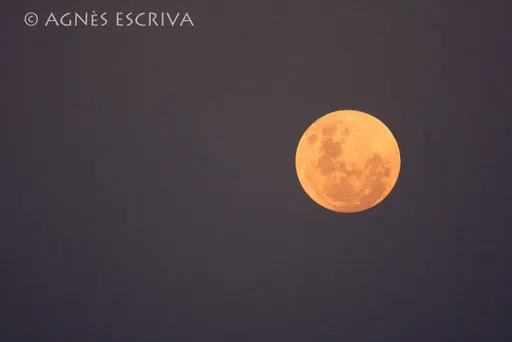 Lune au coucher du soleil