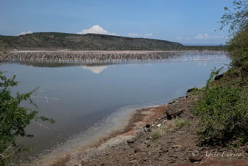 Lac Magadi