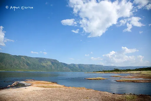 Lac Bogoria