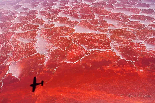 Lac Magadi