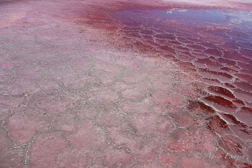 Lac Magadi