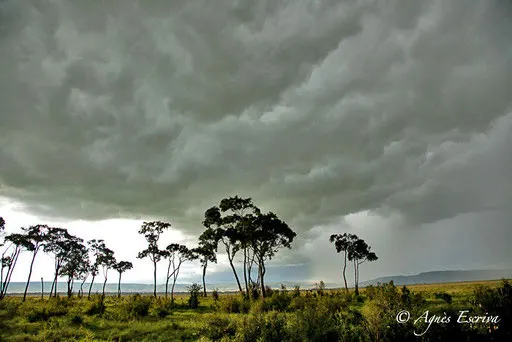 Orage sur Bilashaka