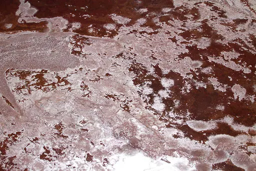 Lac Magadi