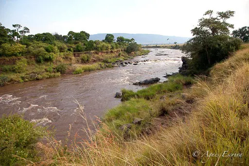 La rivière Mara