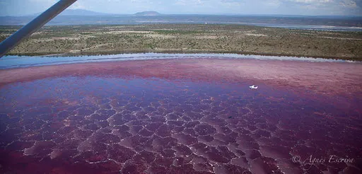 Lac Magadi