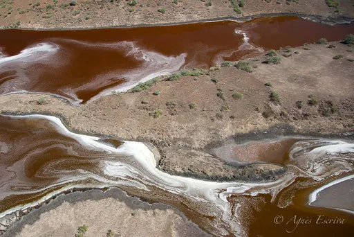 Lac Magadi