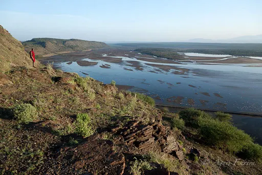 Lac Magadi