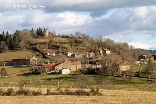 Hiver 2009/2010