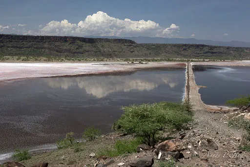 Lac Magadi