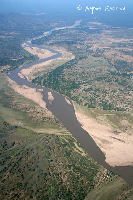 La rivière Luangwa