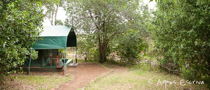Camp de Melting pot safaris - Masaï Mara, Kenya - février 2011