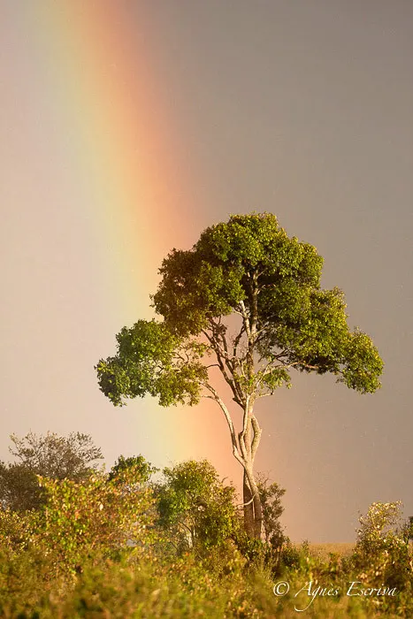 Orage et arc-en-ciel sur Bilashaka