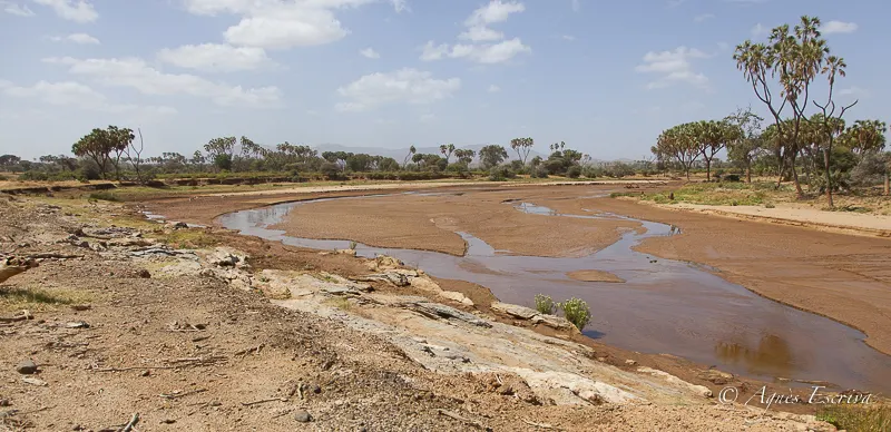 Samburu - Kenya février 2017