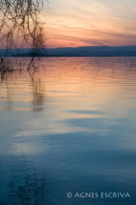 Baringo en rose et bleu