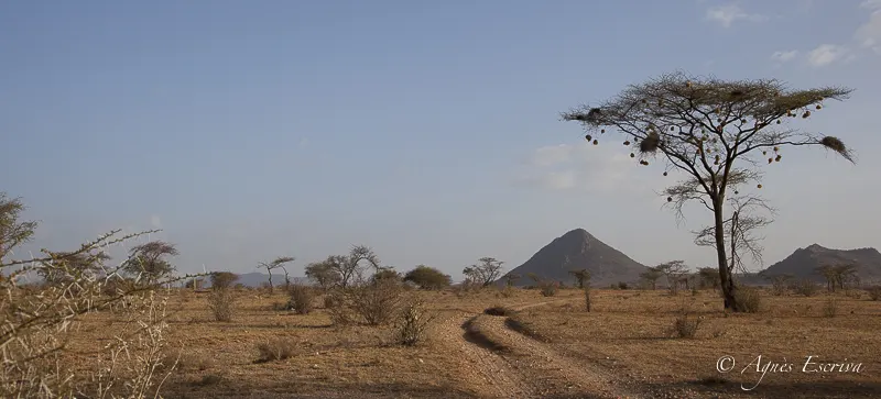 Samburu - Kenya février 2017