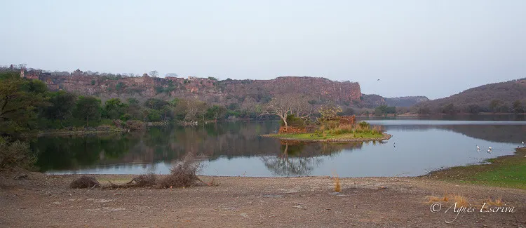 Ranthambore, le fort
