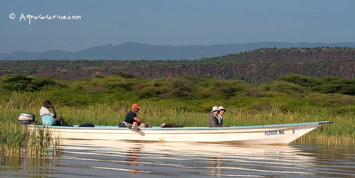 Lac Baringo, Kenya, décembre 2011