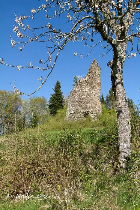 Printemps 2011