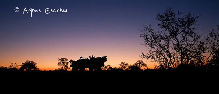 Véhicule au crépuscule - Timbavati  - Afrique du Sud, juin 2011