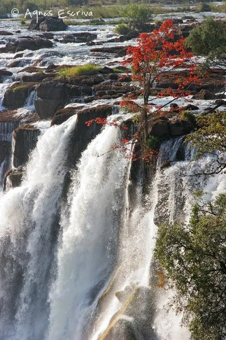 Chutes Victoria