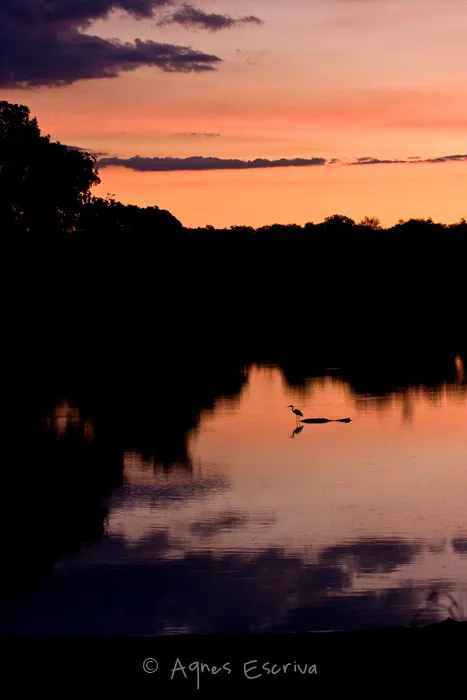 La rivière Luangwa au coucher du soleil 2
