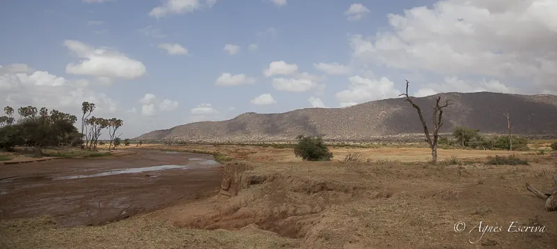 Samburu - Kenya février 2017