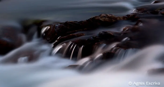Swifcurrent creek, Glacier National Park