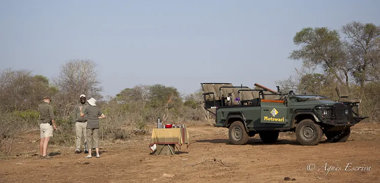 Timbavati avec Chad et Difference - Afrique du Sud, octobre 2016