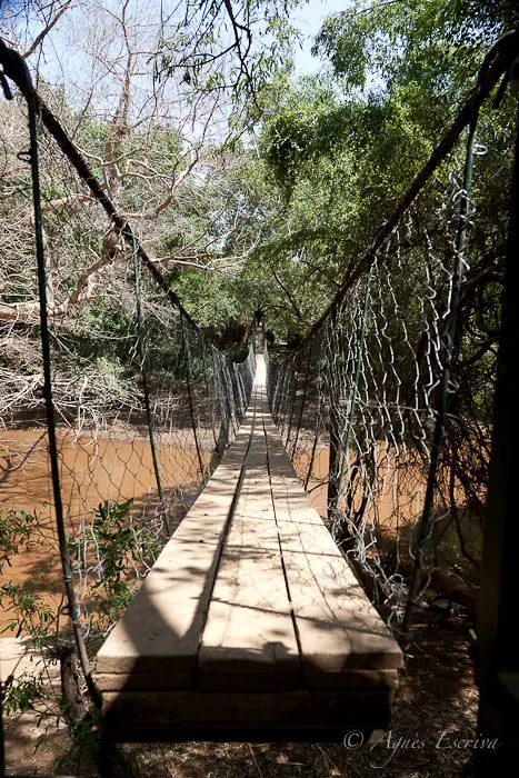 Loisijo lodge, Shompole